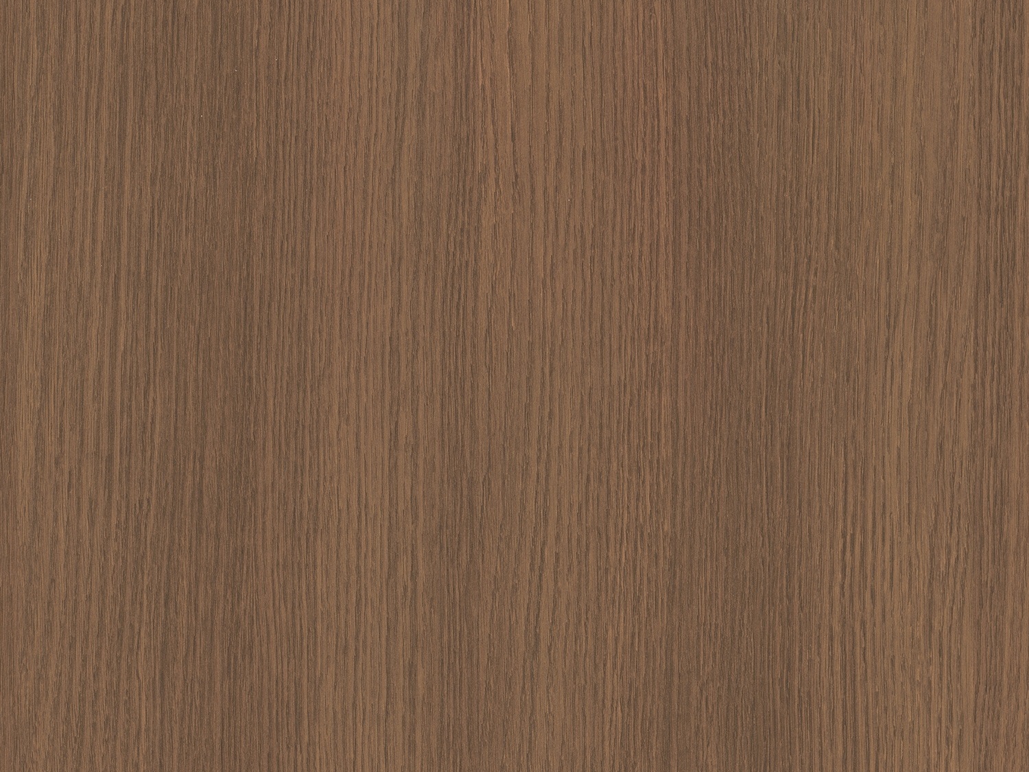 Pal Melaminat CLEAF – S185-ST QUERCIA/QUERCIA- 18.6 mm