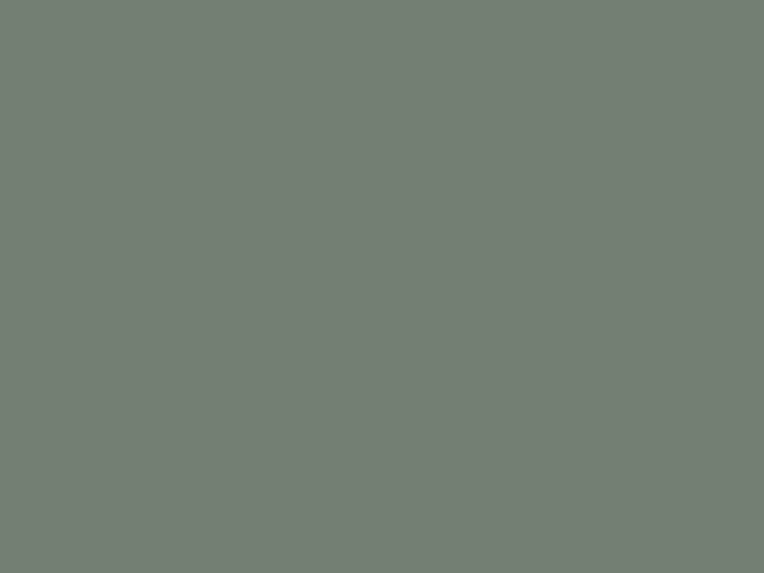 Pal Melaminat EGGER – Verde Eucalipt U604 ST9 – 18 mm