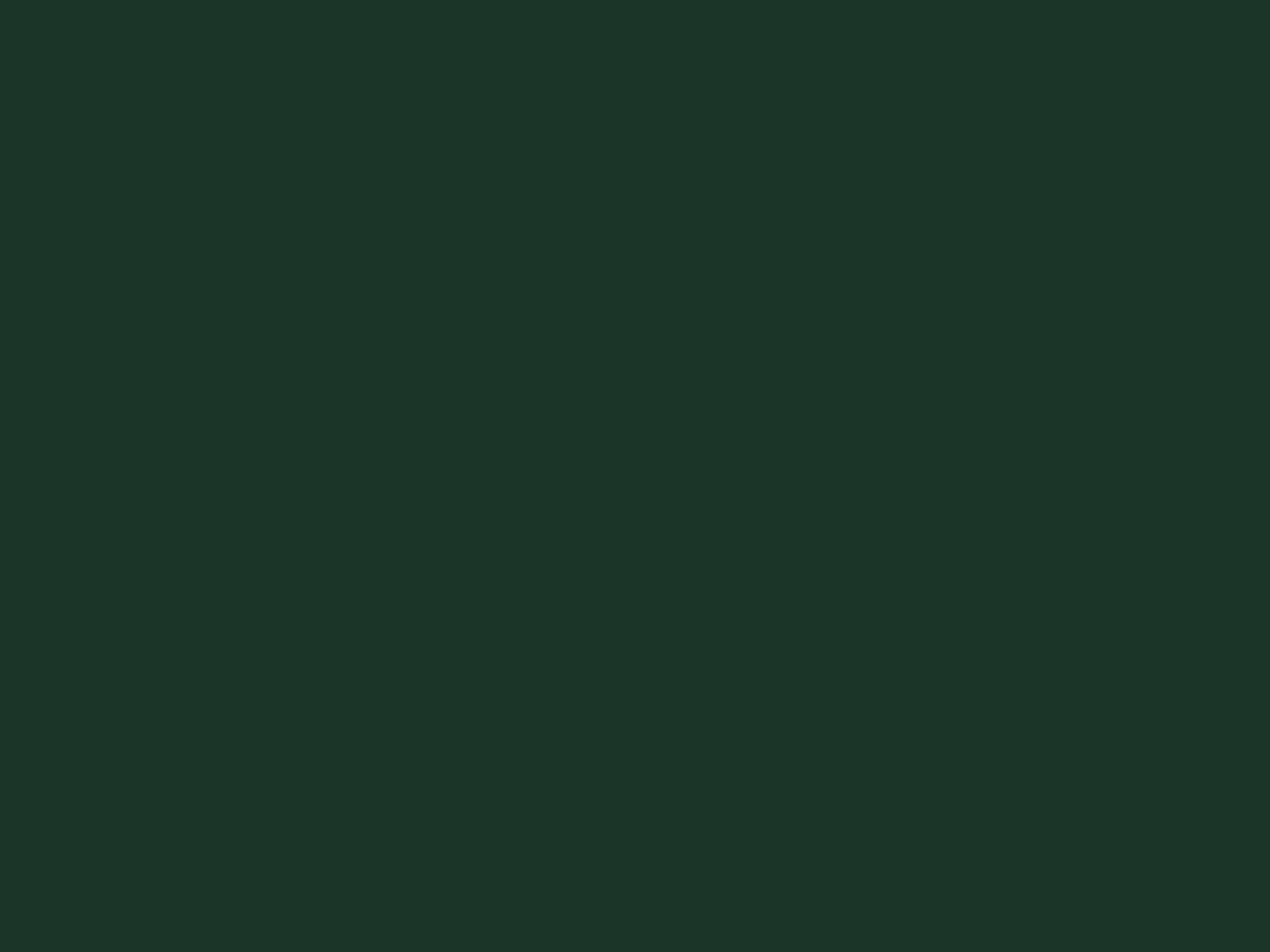 Pal Melaminat EGGER – Verde Brad U699 ST9 – 18 mm